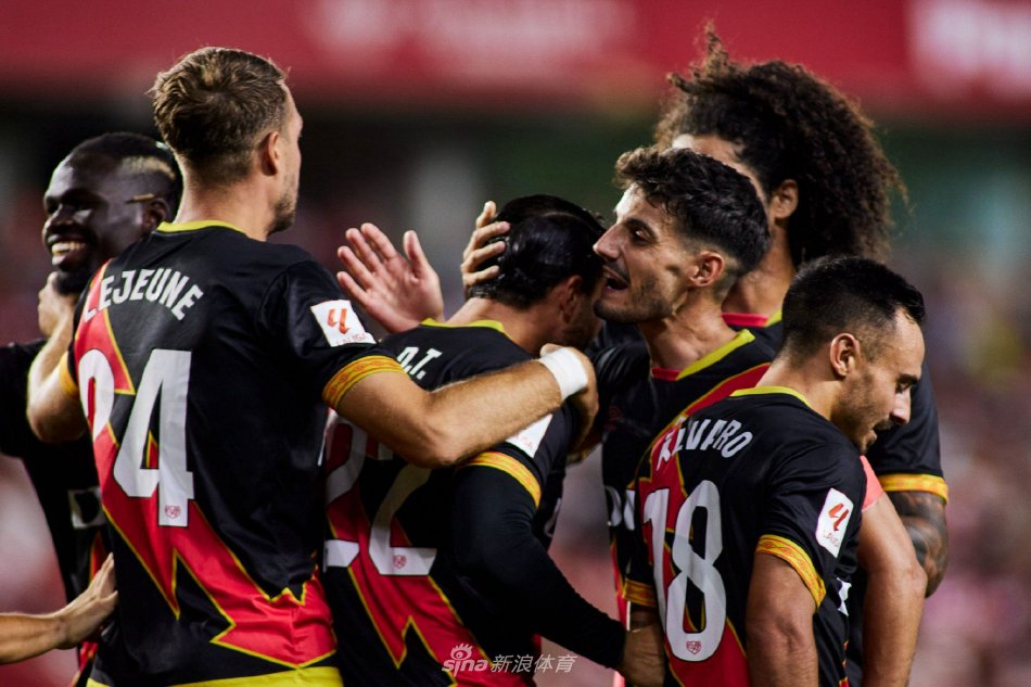 同时提升联 同时提升联